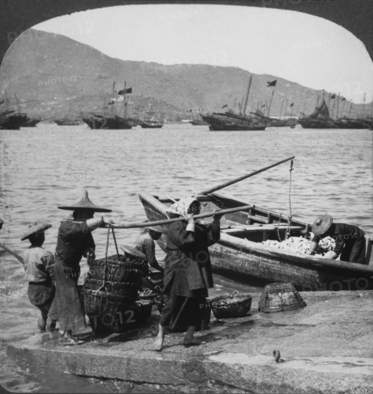 Workers Unloading Fishing Boat, Macau, China, Single Image of Stereo Card, 1910