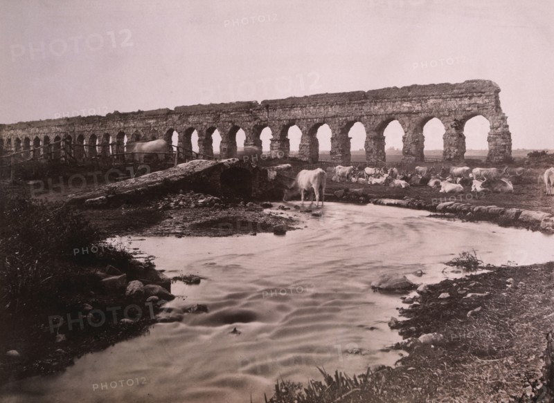 Roman Aqueduct and Cattle, circa 1880