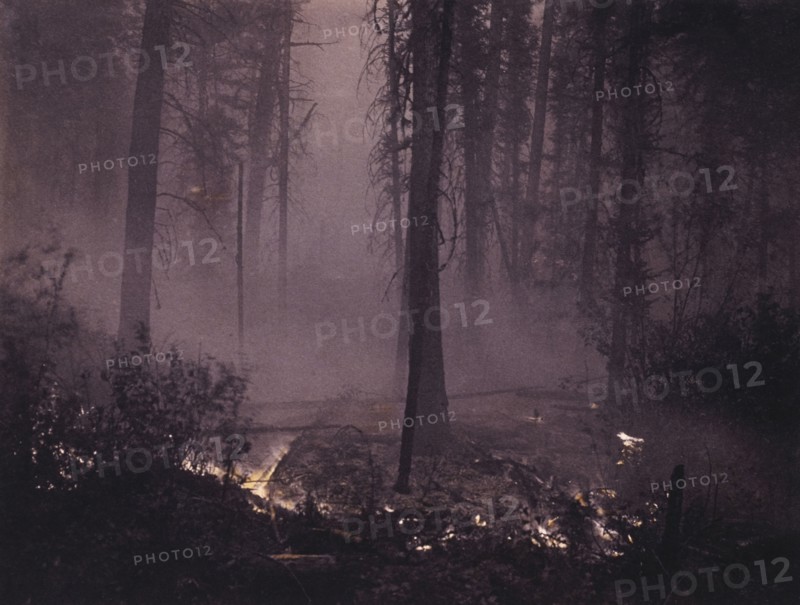 Forest Fire, circa 1909