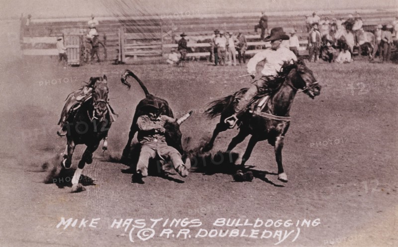 Rodeo Rider Mike Hastings Bulldogging a Steer, circa 1919