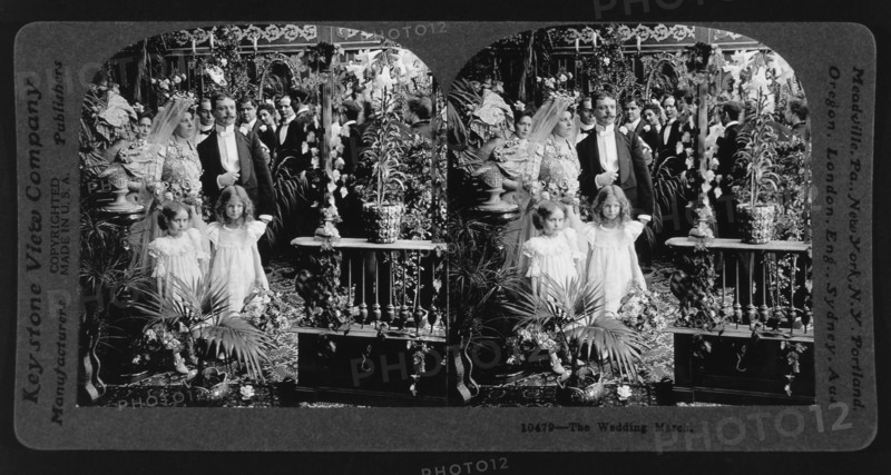 Wedding Couple with Attendants, Stereo Card, circa 1897