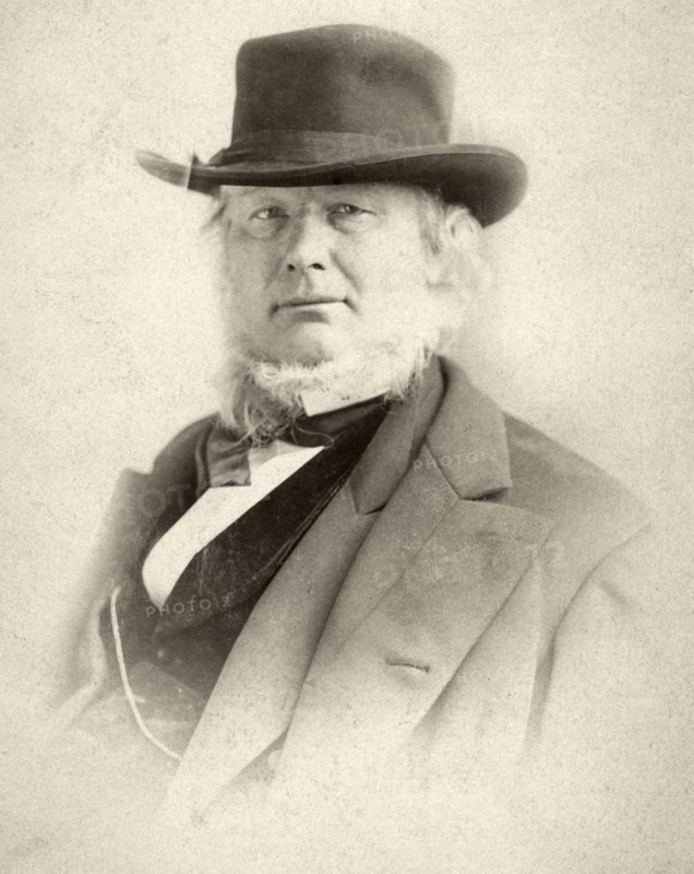 Horace Greeley (1811-1872), American Editor and Politician, Portrait, circa 1870