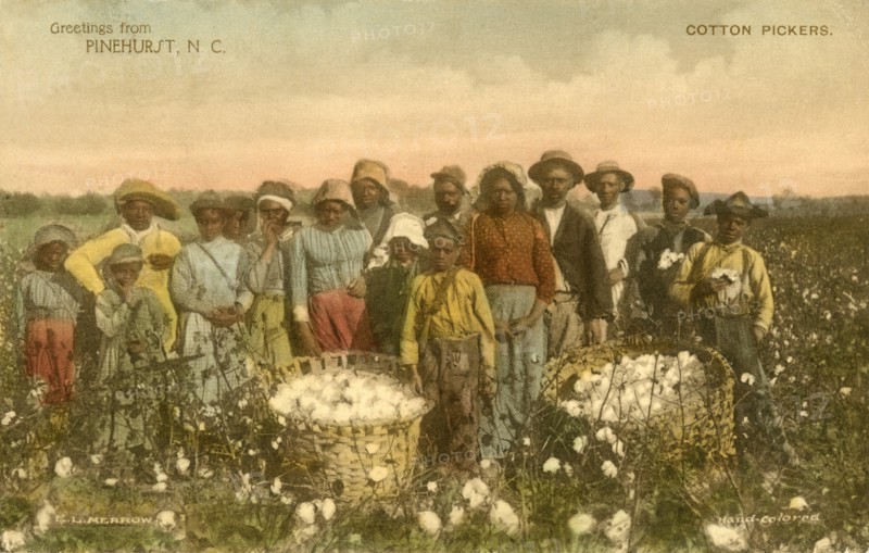 Group of African-American Cotton Pickers in Field, Portrait, Pinehurst, North Carolina, USA, Hand-Colored Postcard, 1912