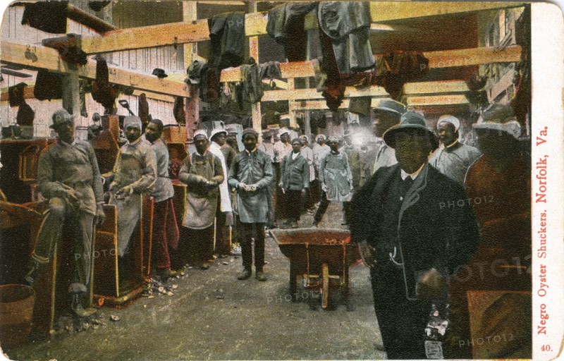 African-American Oyster Shuckers, Portrait, Norfolk, Virginia, USA, Hand-Colored Postcard, circa 1910