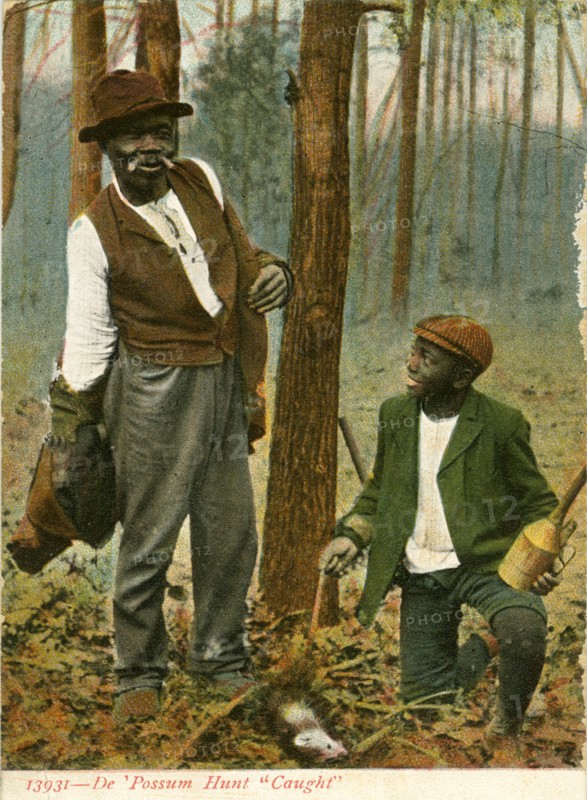 African-American Man and Boy with Snared Opossum, Series 13931, "De 'Possum Hunt - Caught", USA, Hand-Colored Postcard, circa 1910