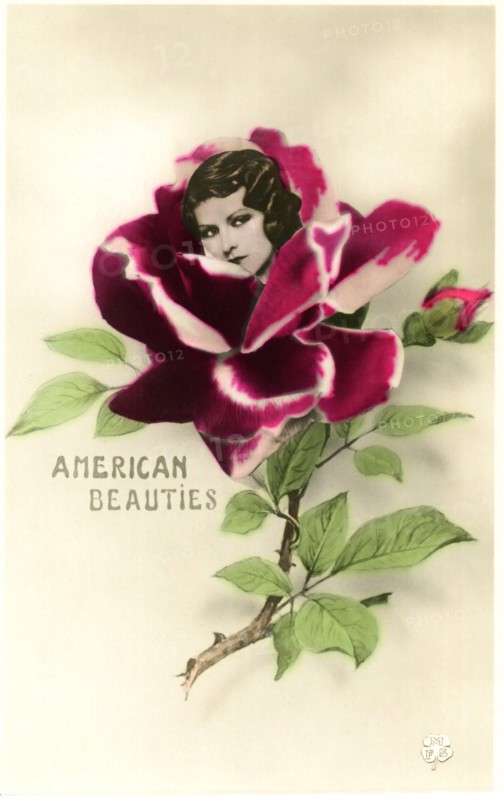 Woman's Face Embedded in Red Rose, "American Beauties", Postcard, circa 1910