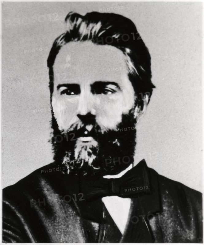 Herman Melville (1819-91), American Novelist and Poet, Portrait, circa 1861