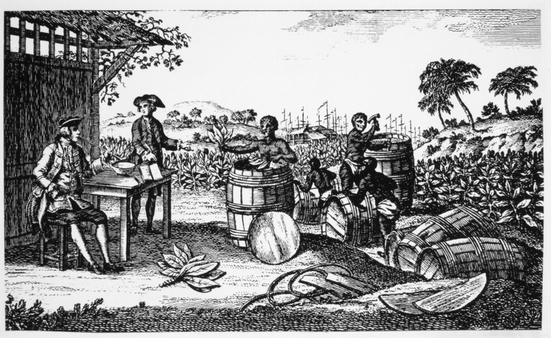 Tobacco Being Exported from Jamestown, Virginia, Engraving, 1620