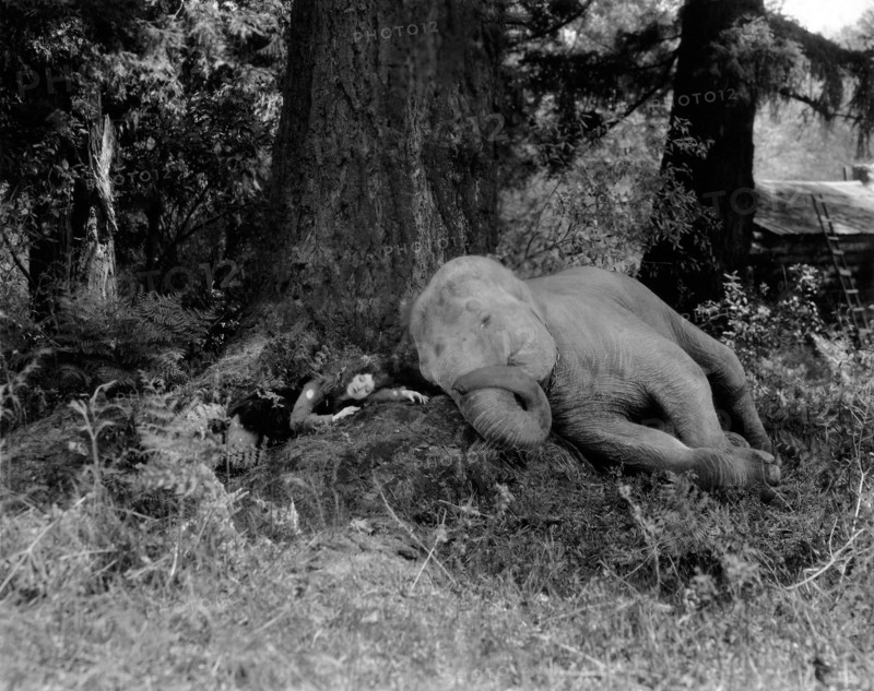 Madge Bellamy, on-set of the Silent Film "Soul of the Beast", 1923