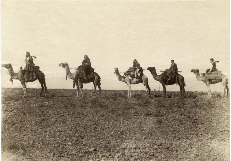 Camel Caravan in Desert, Egypt, circa 1880
