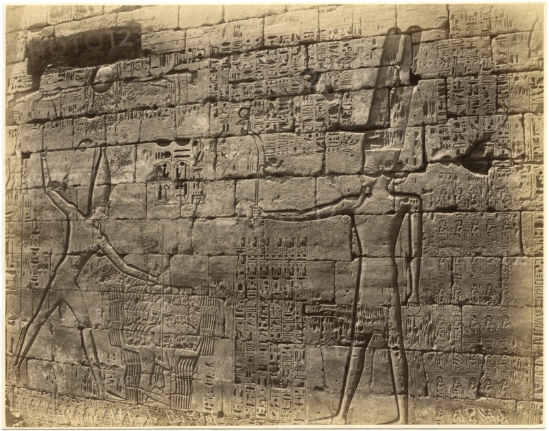 Bas-relief, Grand Temple, Karnak, Egypt, Albumen Print, circa 1880
