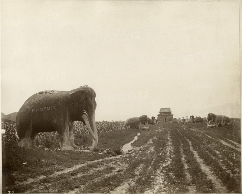 Sacred Way and Ming Tombs, Beijing, China, Albumen Print, circa 1890