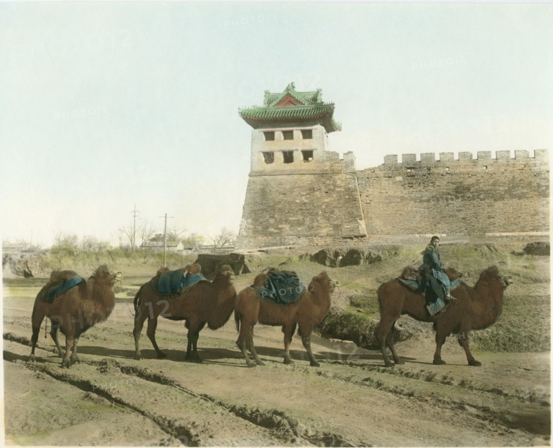 Camel Caravan at City Wall, Beijing, China, circa 1930