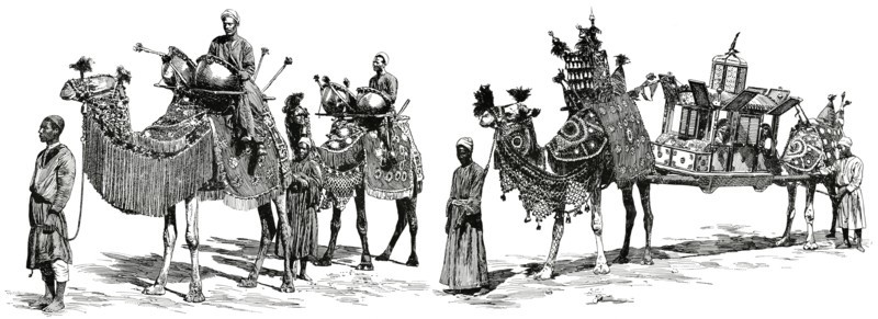 Bridal Procession Traveling on Camels, Arabia, "Classical Portfolio of Primitive Carriers", by Marshall M. Kirman, World Railway Publ. Co., Illustration, 1895