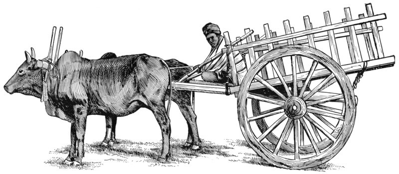Burmese Ox-Cart, "Classical Portfolio of Primitive Carriers", by Marshall M. Kirman, World Railway Publ. Co., Illustration, 1895