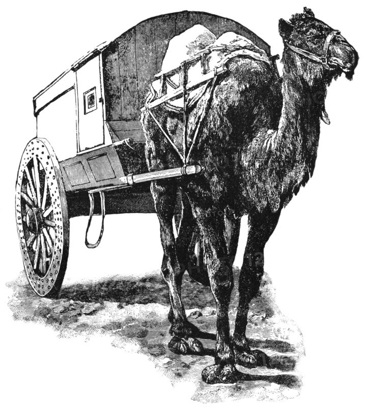 Bactrian Camel and Mail Cart, Gobi Desert, Central Asia, "Classical Portfolio of Primitive Carriers", by Marshall M. Kirman, World Railway Publ. Co., Illustration, 1895