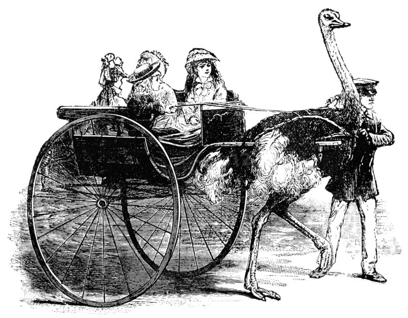 Pleasure Party in the Zoological Gardens, Paris, France, "Classical Portfolio of Primitive Carriers", by Marshall M. Kirman, World Railway Publ. Co., Illustration, 1895