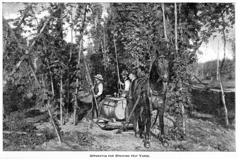Apparatus for Spraying Hop Yards, Report of the Commissioner of Agriculture, US Dept of Agriculture, Illustration,  1888