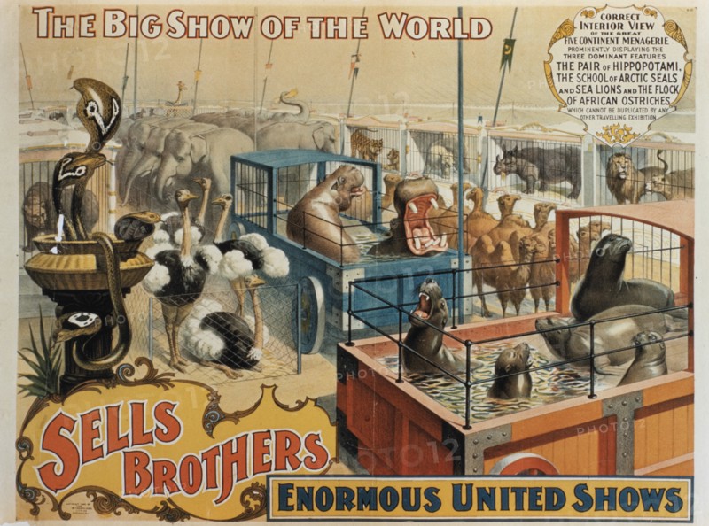 Sells Brothers' Enormous United Shows, The Great Five Continent Menagerie, Circus Poster, circa 1880's
