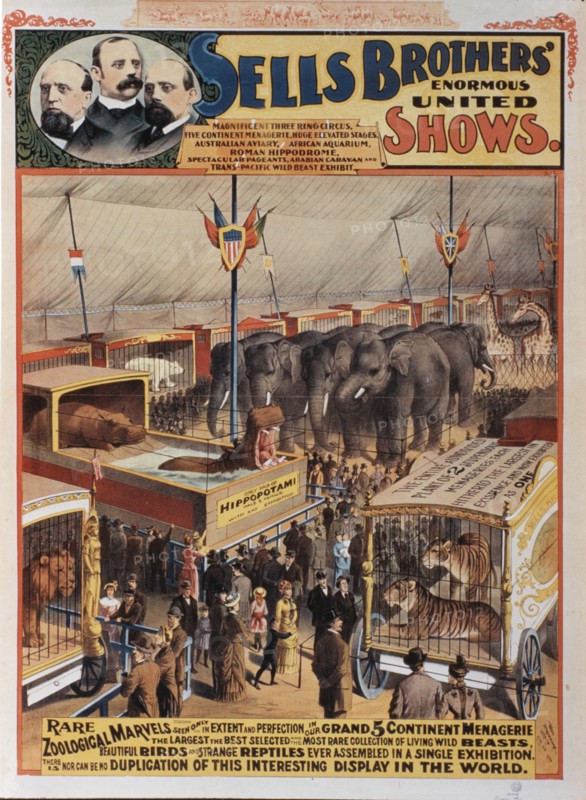 Sells Brothers' Enormous United Shows, Rare Zoological Marvels, Circus Poster, circa 1880's