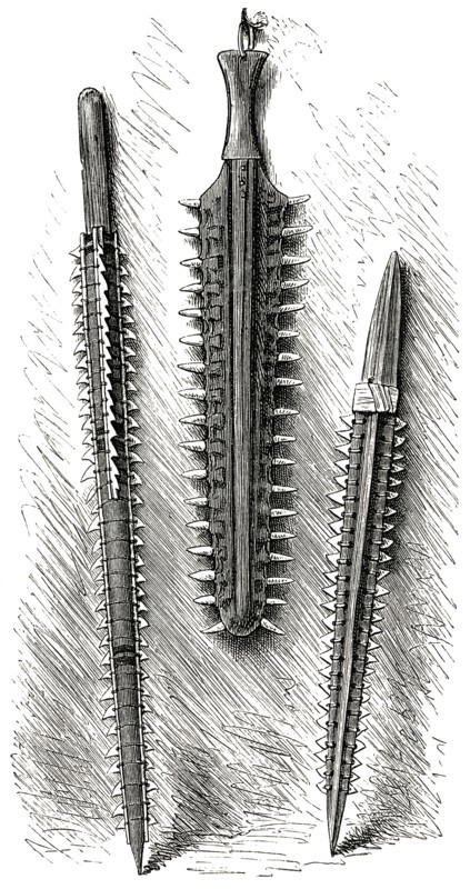 Primitive Weapons made from Shark Teeth, Gilbert Islands, Illustration, 1885