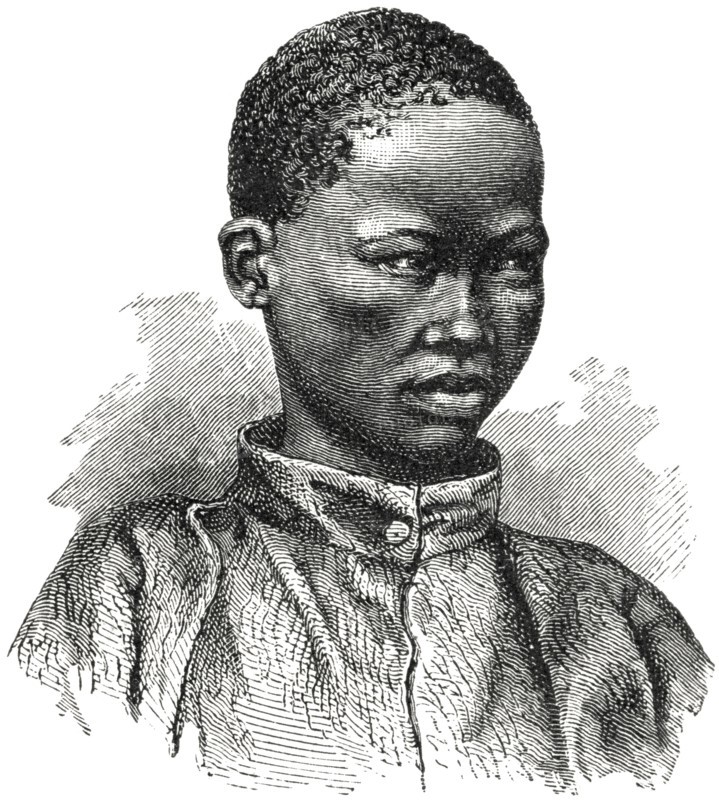 Young Bushman, Lake Ngami Region, Botswana, Africa, Illustration, 1885