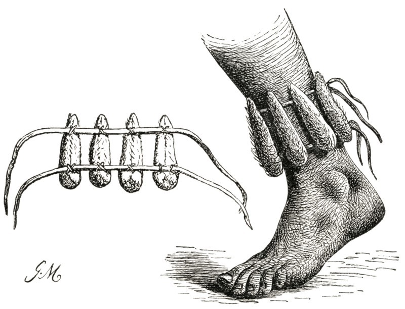 Dancing Rattles on Ankle, Africa, Illustration, 1885