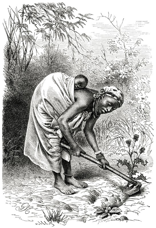 Loango Woman with Baby on Back Working in Field, Africa, Illustration, 1885