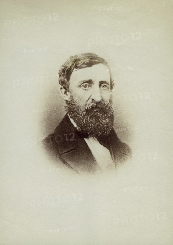 Henry David Thoreau (1817-62), Portrait, 1861