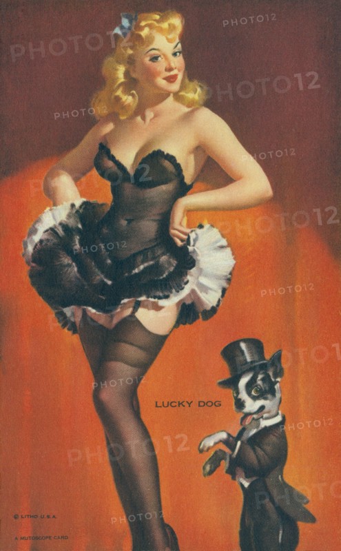 "Lucky Dog", Mutoscope Card, 1940s