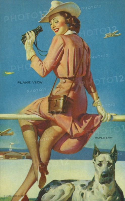 "Plane View", Mutoscope Card, 1940s
