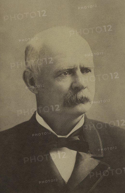 Adlai Stevenson (1835-1914), American Politician, U.S. Vice President 1893-97, Portrait, 1892