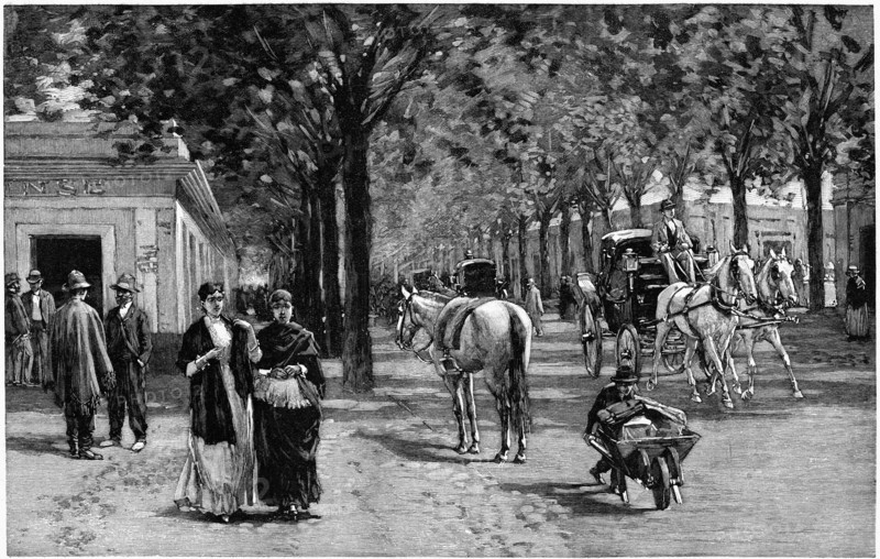 Calle General San Martin, Buenos Aires, Argentina, Harper's New Monthly Magazine, Illustration, 1891