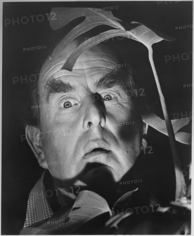 Robert Morley, Publicity Portrait for the Film, "Topkapi", United Artists, 1964