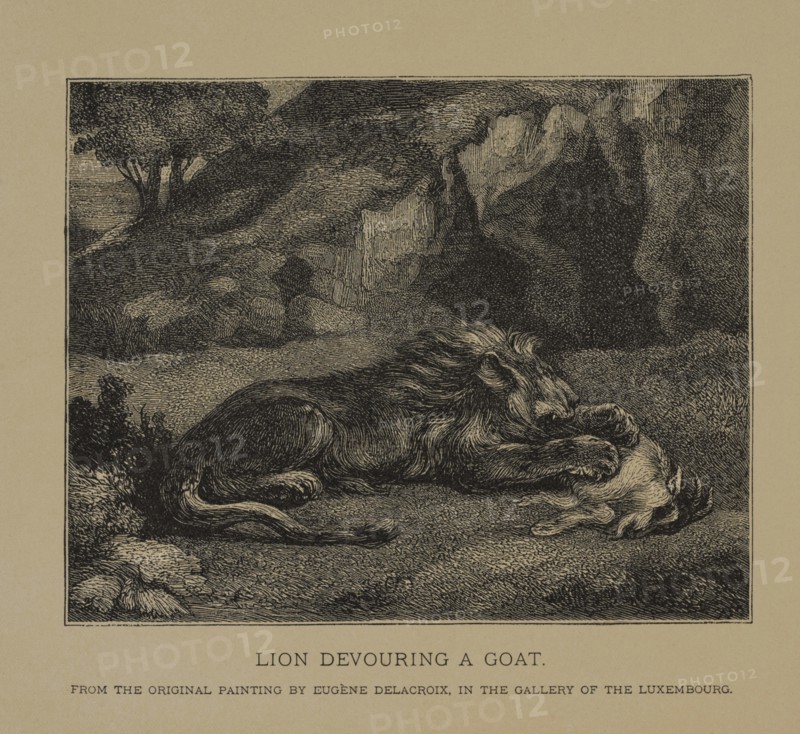 Lion Devouring a Goat, Woodcut Engraving from the Original Painting by Eugène Delacroix The Masterpieces of French Art by Louis Viardot, Published by Gravure Goupil et Cie, Paris, 1882, Gebbie & Co., Philadelphia, 1883