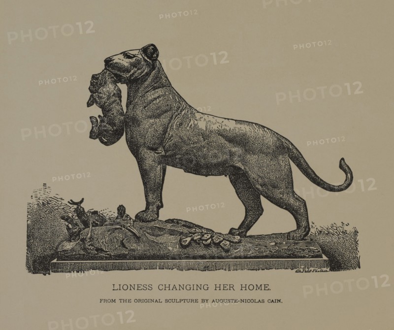Lioness Changing her Home, Woodcut Engraving from the Original Sculpture by Auguste-Nicolas Cain, The Masterpieces of French Art by Louis Viardot, Published by Gravure Goupil et Cie, Paris, 1882, Gebbie & Co., Philadelphia, 1883