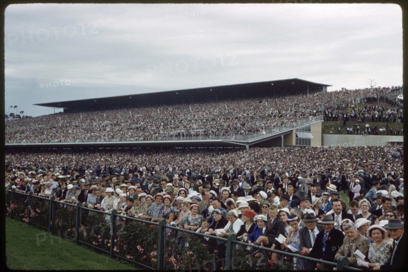 Crowd Watching Melbourne Cup, Victoria Racing Club, Flemington Racecourse, Melbourne, Australia, November 1959