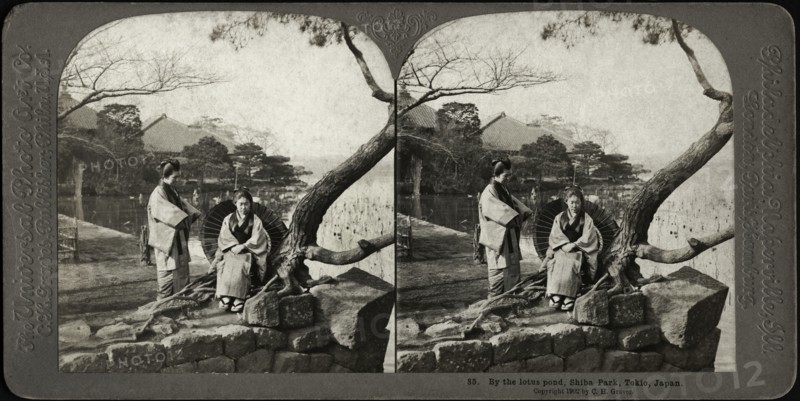 By the lotus pond, Shiba Park, Tokio, Japan, Stereo Card, C.H. Graves, Universal Photo Art, 1902