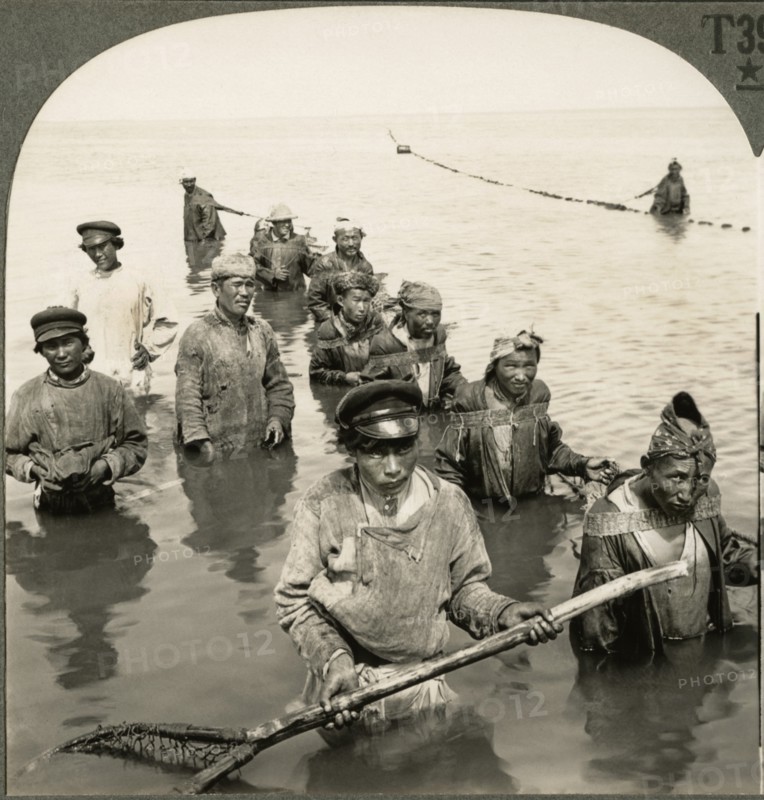 Russian Fishermen Drawing their Nets on the Lower Volga River, Russia, Single Image of Stereo Card, Keystone View Company, early 1900's
