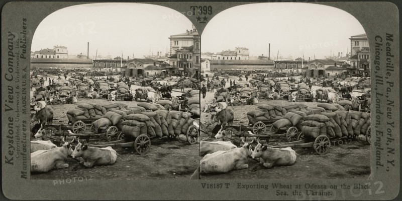 Exporting Wheat at Odessa on the Black Sea, the Ukraine, Stereo Card, Keystone View Company, early 1900's
