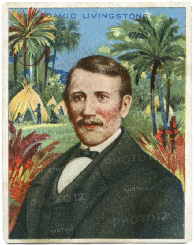 David Livingstone (1813-73), Scottish Christian Missionary and Explorer, Portrait