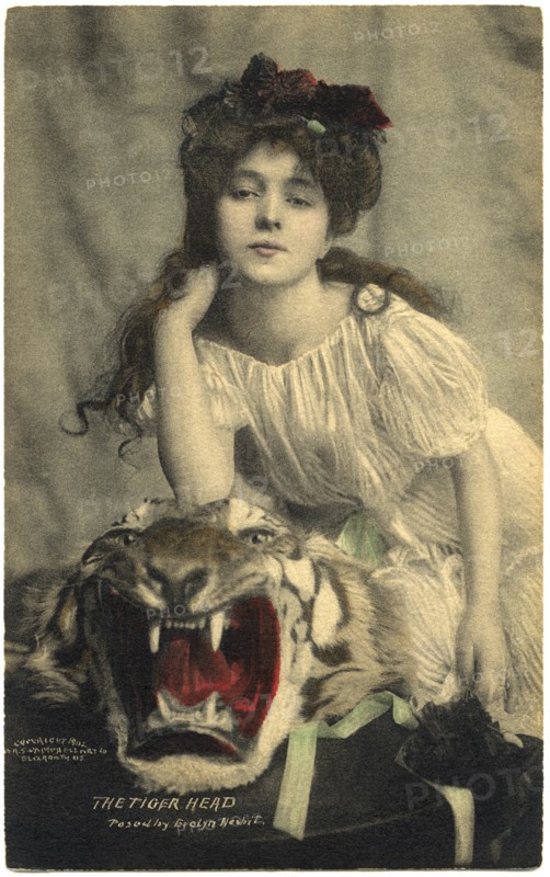 Evelyn Nesbit, The Tiger-Head, Portrait on Tiger-Skin Rug, Postcard, 1902