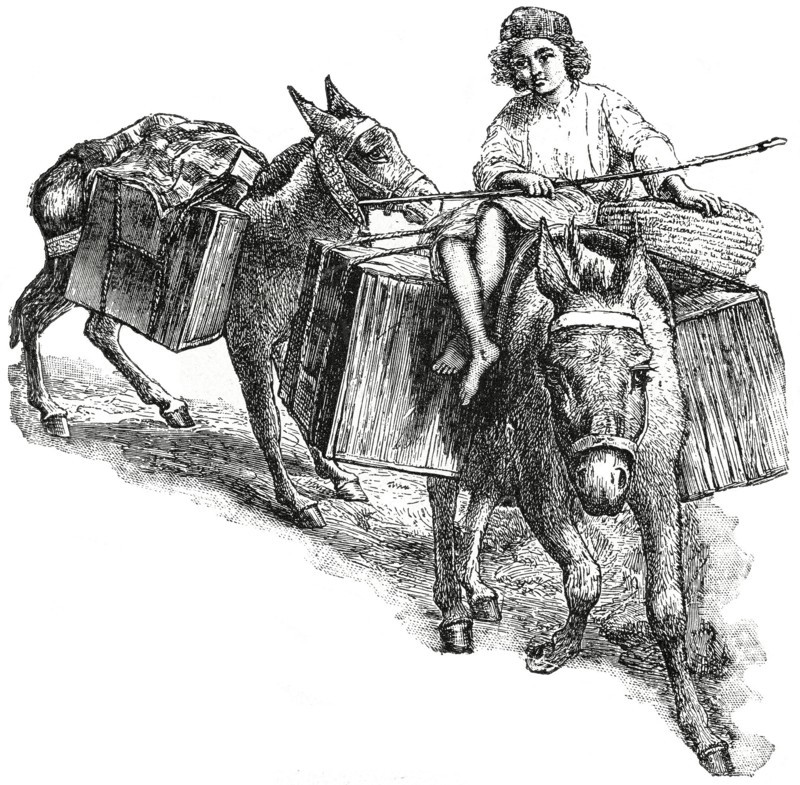 Loads on Donkeys, Palestine, 1890's, Illustration, Classical Portfolio of Primitive Carriers, by Marshall M. Kirman, World Railway Publ. Co., Illustration, 1895