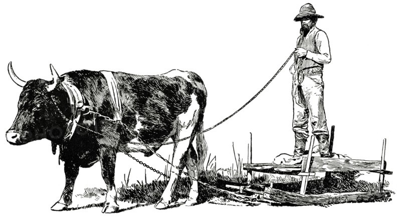 Ox and Sled, Ashville, North Carolina, USA, Illustration, Classical Portfolio of Primitive Carriers, by Marshall M. Kirman, World Railway Publ. Co., Illustration, 1895