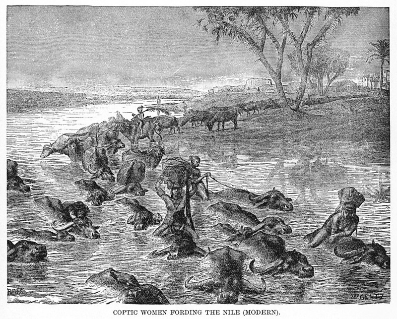 Coptic Women Fording the Nile, Illustration, Cyclopaedia of Universal History, Volume 1, The Ancient World, by John Clark Ridpath, the Jones Brothers Publishing Company, 1885