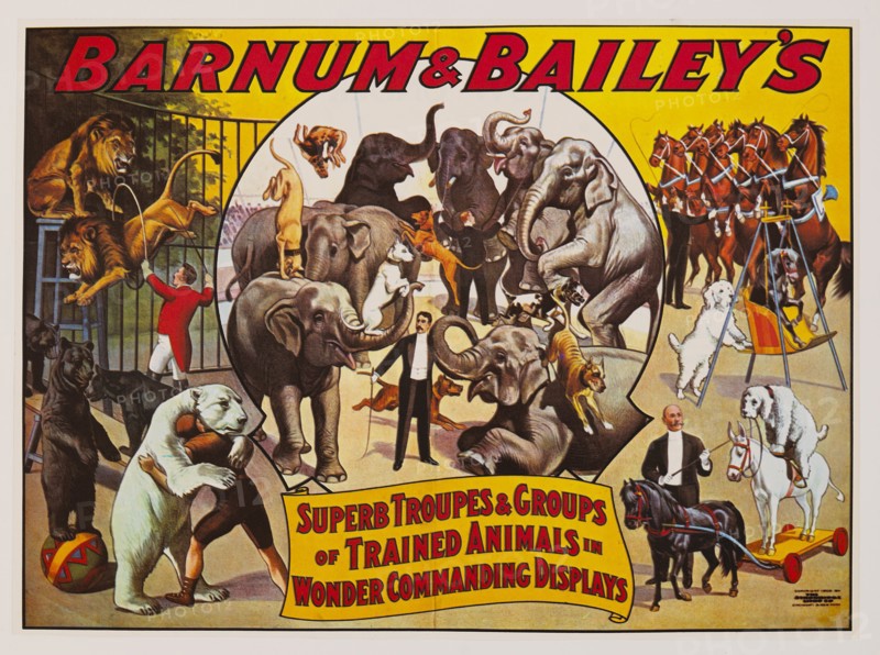 Barnum & Bailey's Superb Troupes & Groups of Trained Animals in Wonder Commanding Displays, Circus Poster, Lithograph, 1906