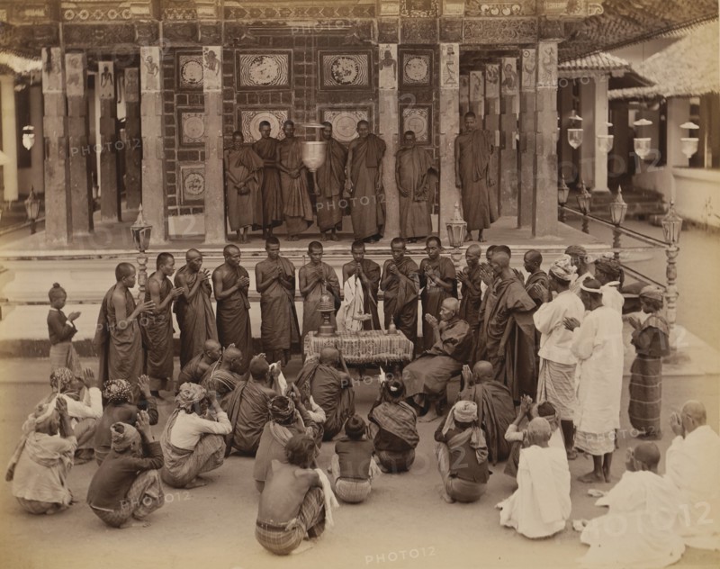 Group of Buddhist Monks in Prayer, Sri Lanka
