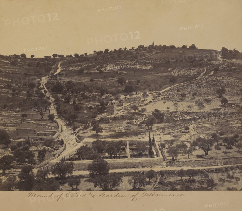 Mount of Olives and Garden of Gethsemane, Jerusalem, 1860's