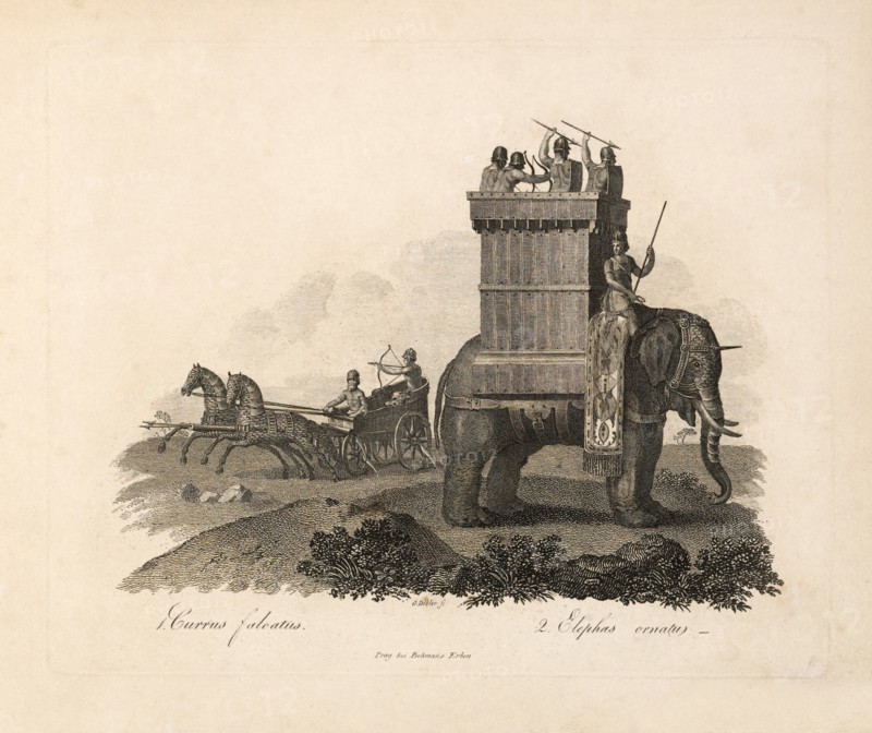 1. Currus falcatus 2. Elephas ornatur, Engraving, G. Dobler, 1819