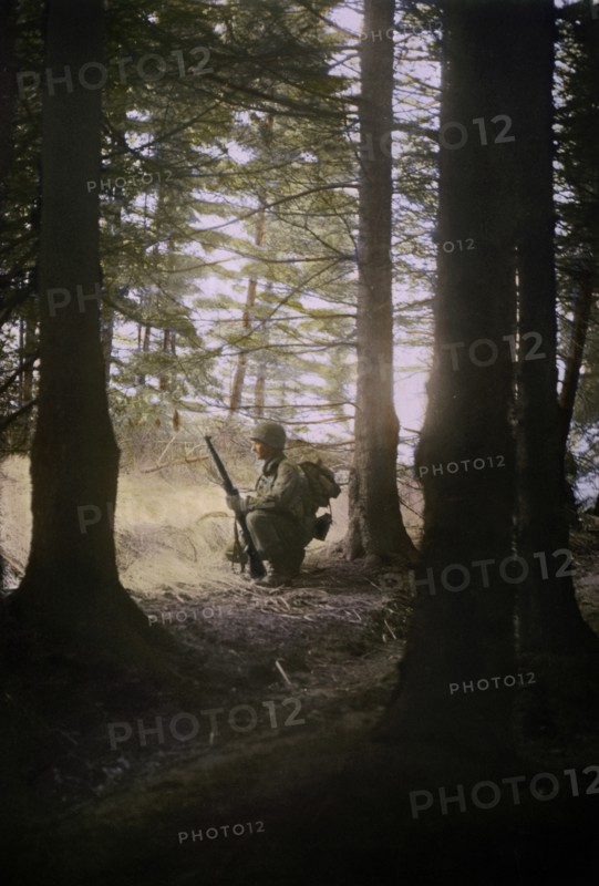 Infantryman Pausing in Advance Through Forest, Ardennes-Alsace Campaign, Battle of the Bulge, 1944